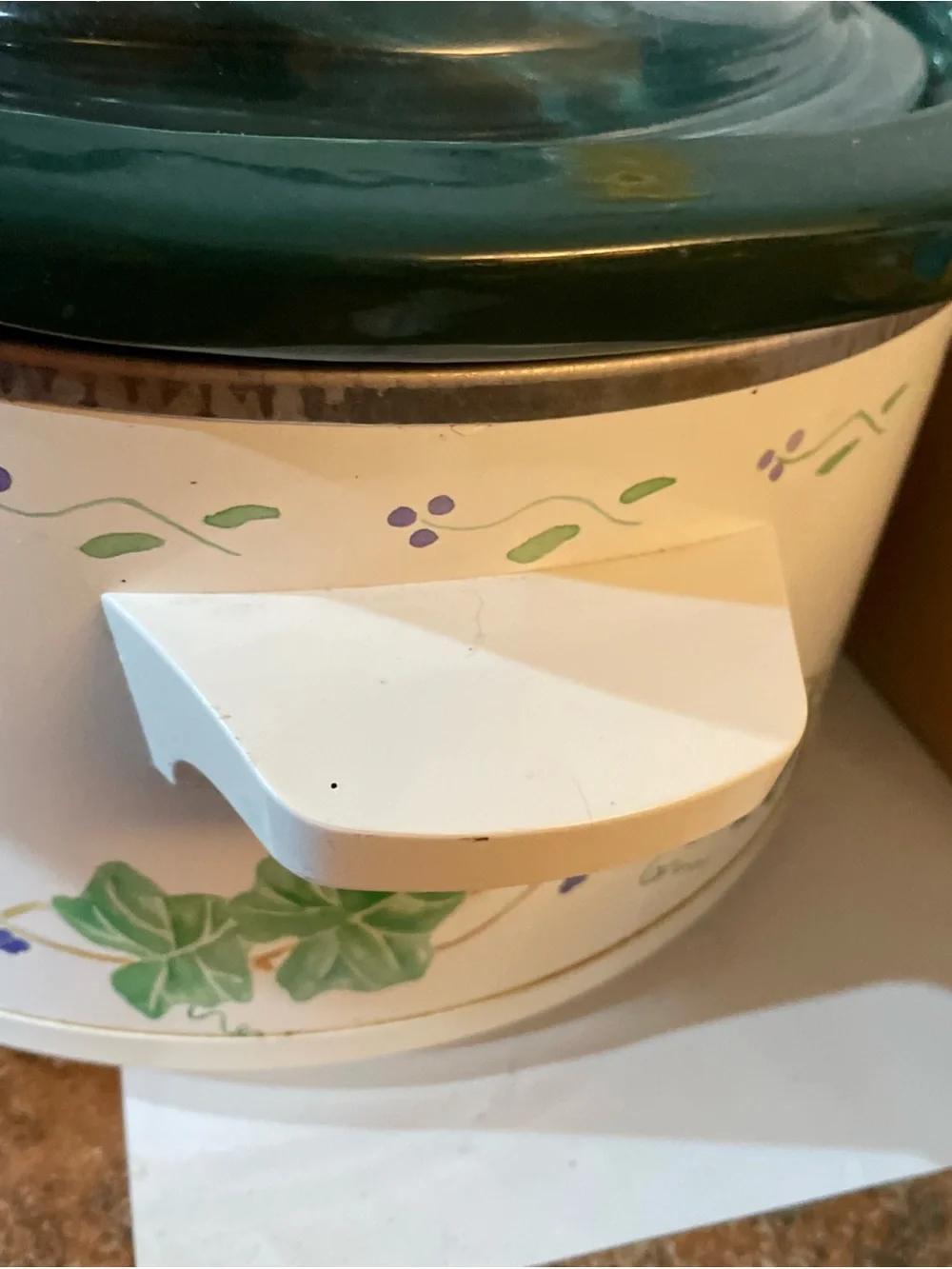 Rival crock pot